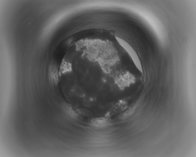 X0000111050479200907231559