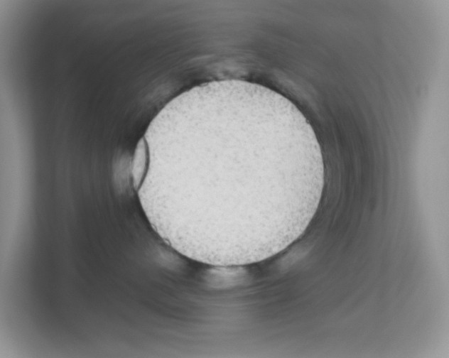 X0000111050480200907231559