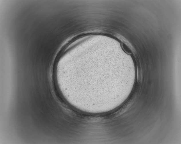 X0000111050483200907231559