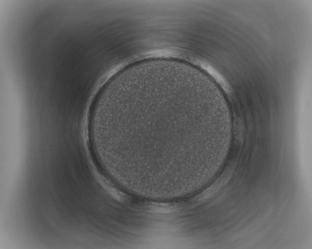 X0000111050486200907231559