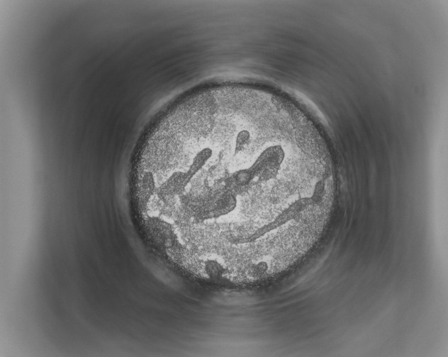 X0000111050487200907231559