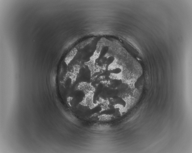 X0000111050491200907231559