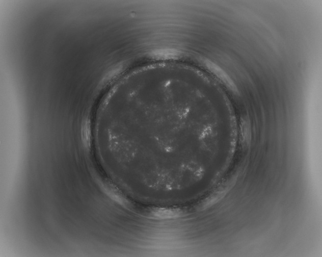 X0000111050494200907231559