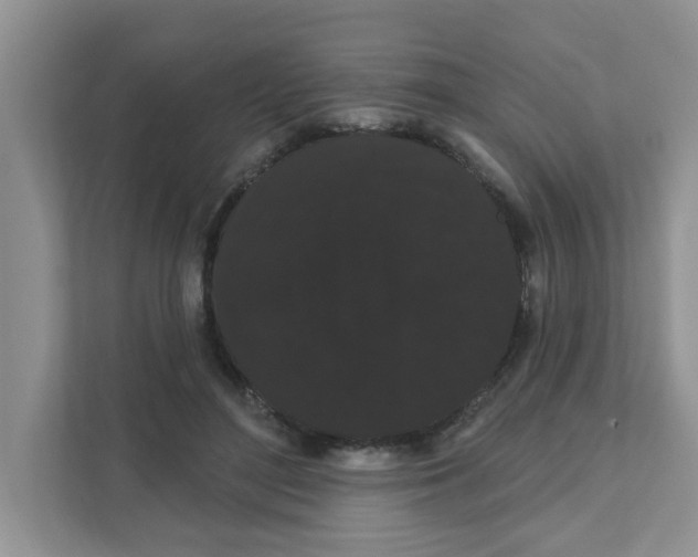 X0000111050500200907231559