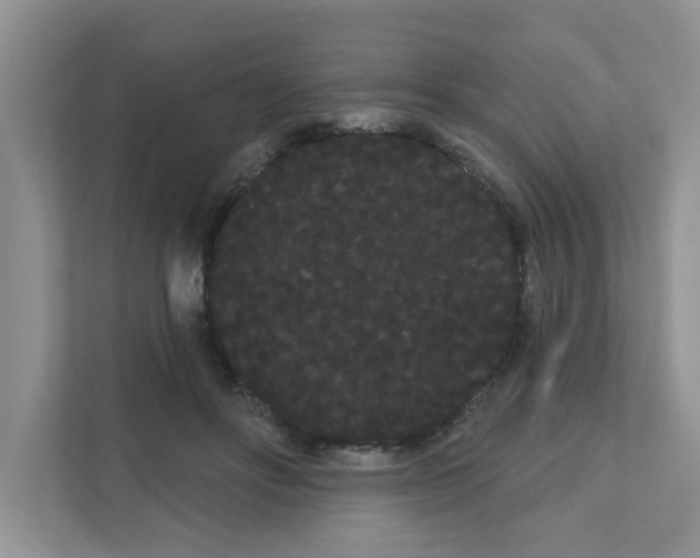 X0000111050502200907231559