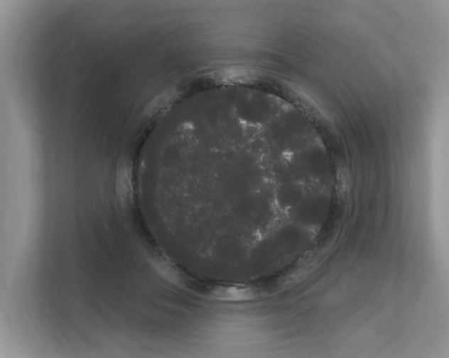 X0000111050506200907231558