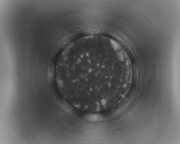 X0000111050507200907231558