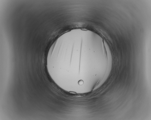 X0000111050509200907231558