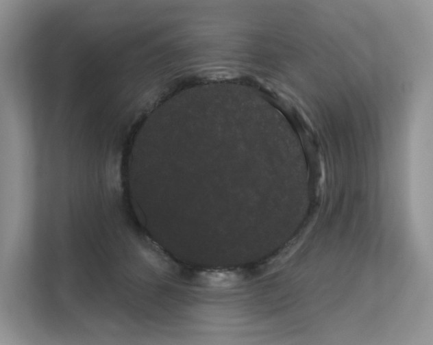 X0000111050512200907231558