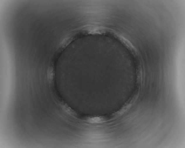 X0000111050513200907231558