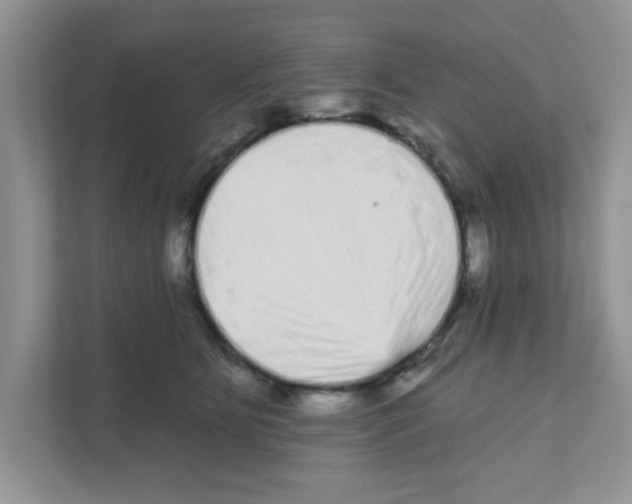 X0000111050515200907231558