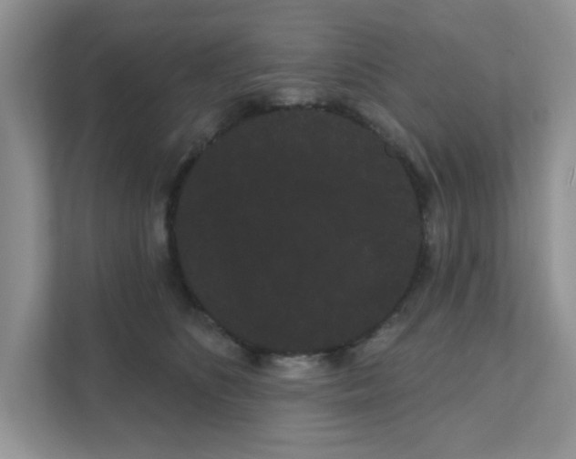 X0000111050516200907231558