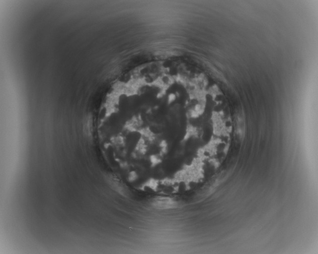 X0000111050519200907231558