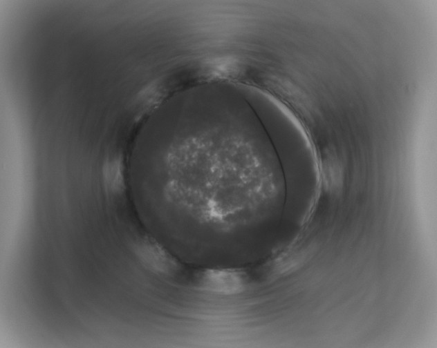 X0000111050520200907231558