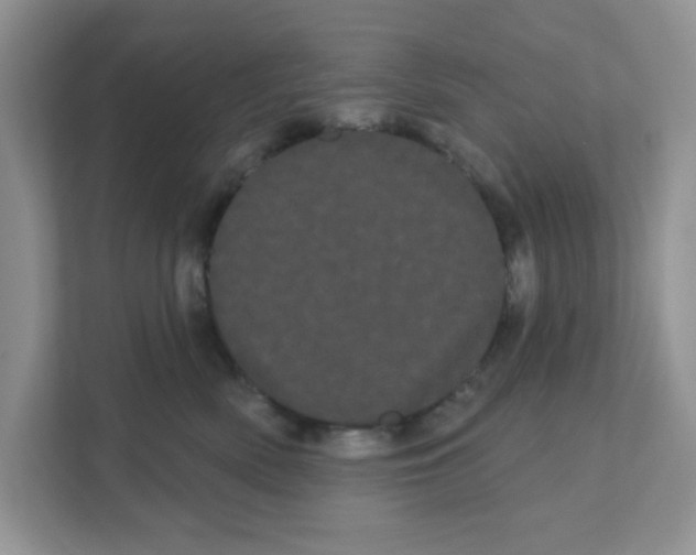 X0000111050522200907231558