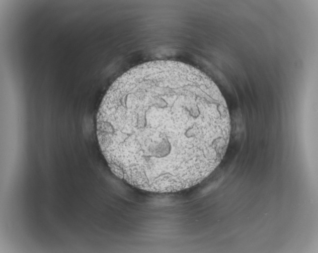 X0000111050523200907231558