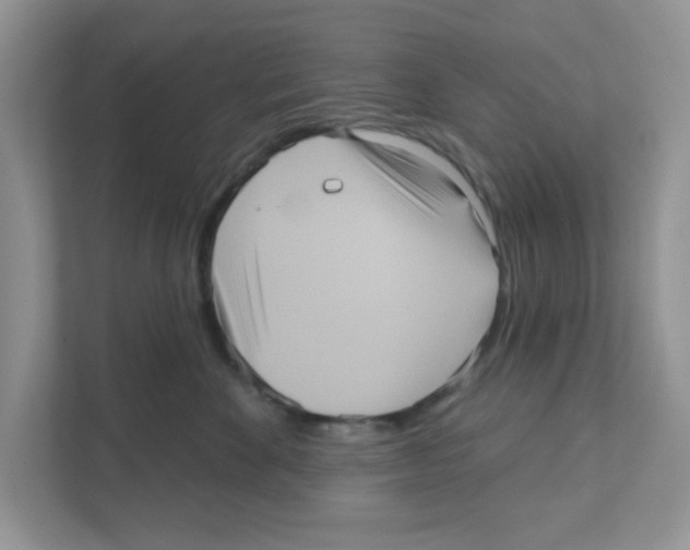 X0000111050524200907231558