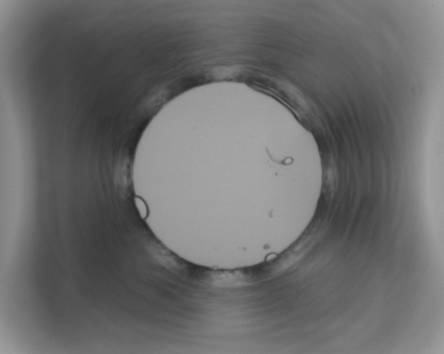 X0000111050525200907231558