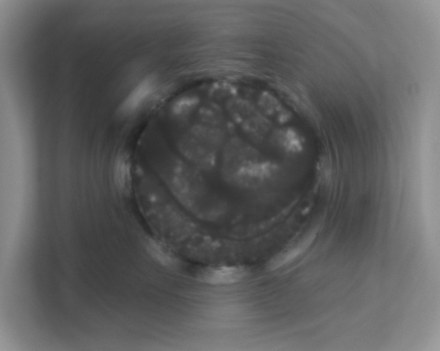 X0000111050527200907231558