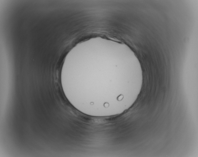 X0000111050528200907231558