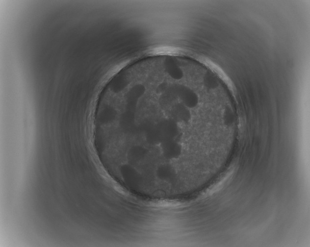 X0000111050529200907231558