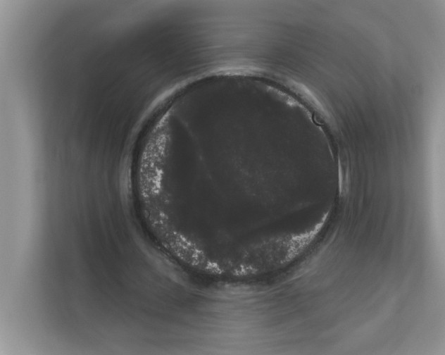 X0000111050531200907231558