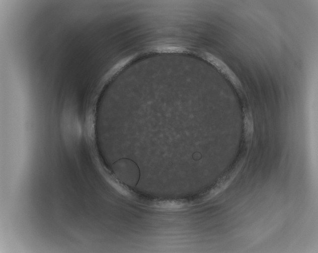 X0000111050533200907231558