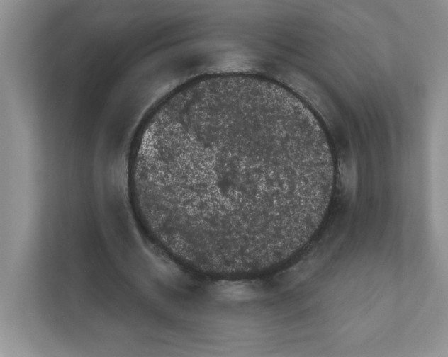 X0000111050534200907231558