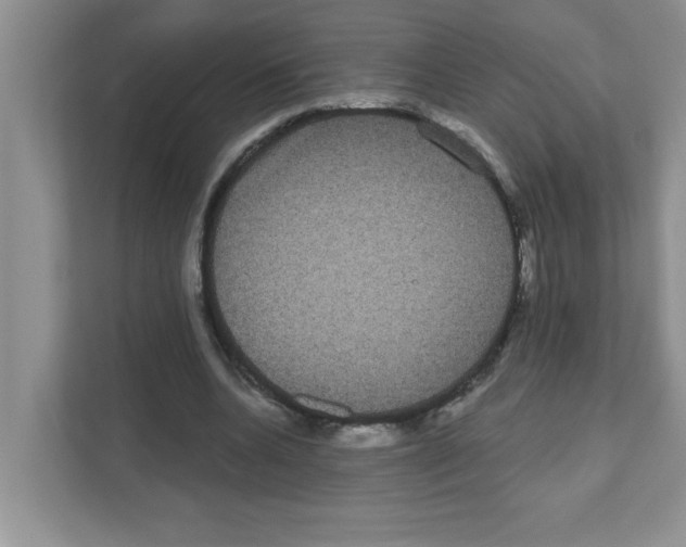 X0000111050536200907231558