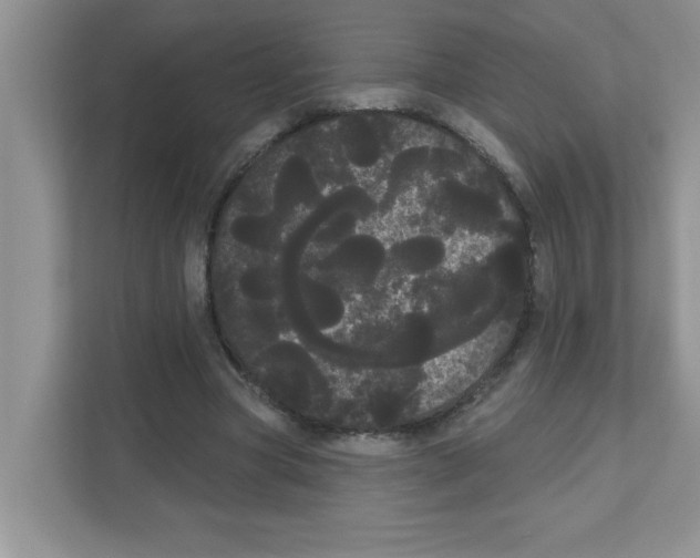 X0000111050537200907231558