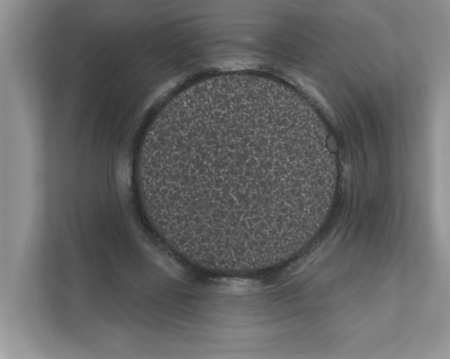 X0000111050539200907231558