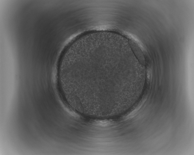 X0000111050540200907231558