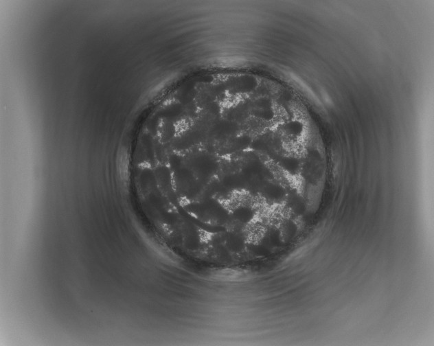 X0000111050542200907231558