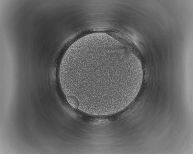 X0000111050543200907231558