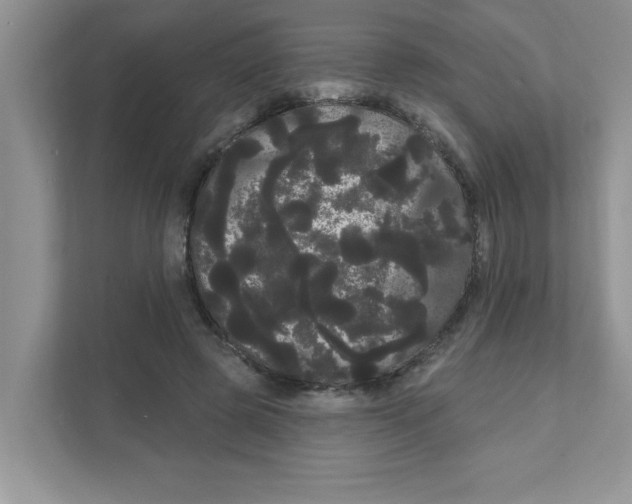 X0000111050545200907231558