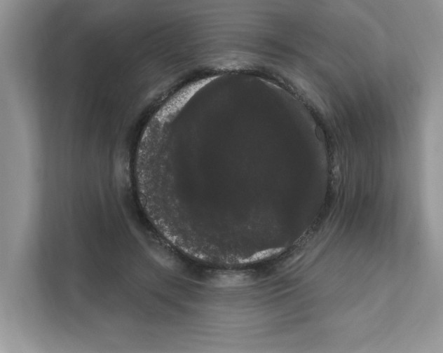 X0000111050547200907231558