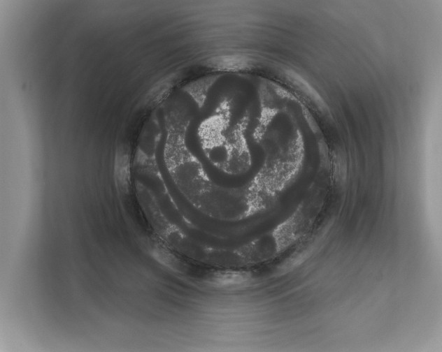 X0000111050549200907231558