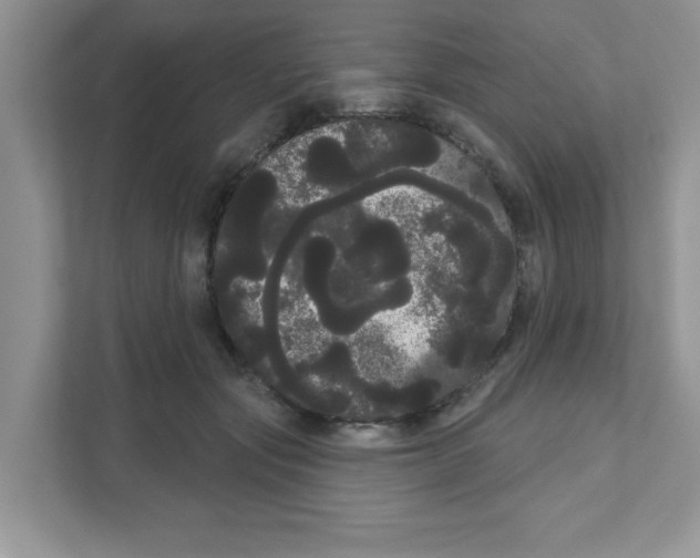 X0000111050557200907231558