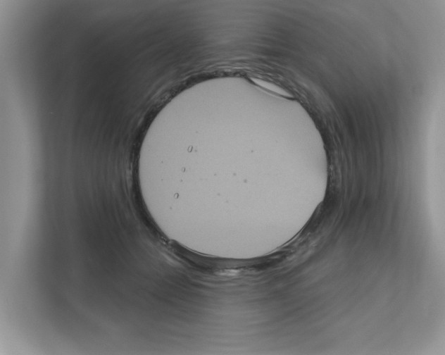 X0000111050558200907231558