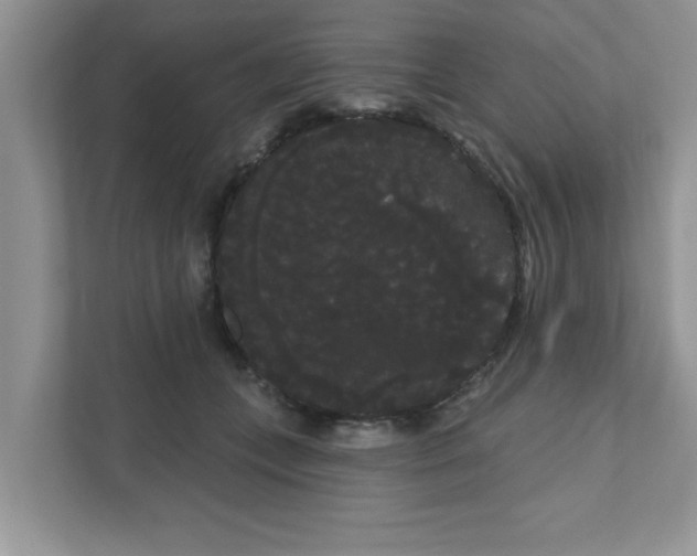 X0000111050559200907231558