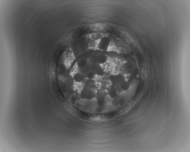 X0000111050561200907231558