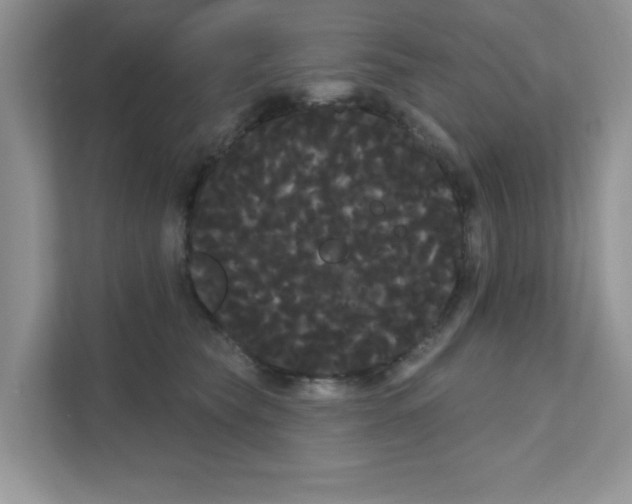 X0000111050565200907231558