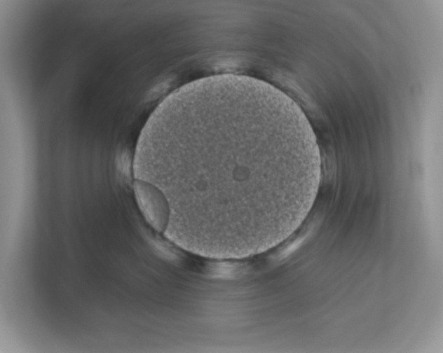 X0000111050575200907231558