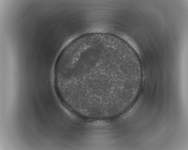 X0000111050578200907231558