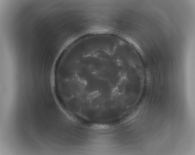 X0000111050582200907231557