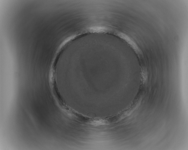 X0000111050583200907231557