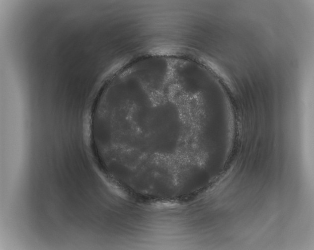 X0000111050586200907231557