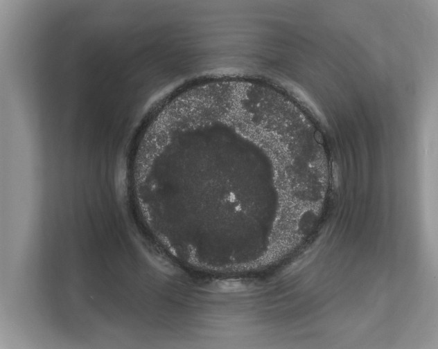 X0000111050588200907231557