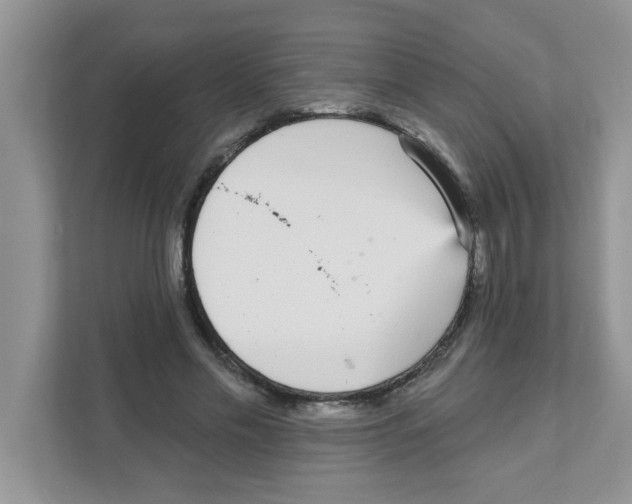 X0000111050589200907231557