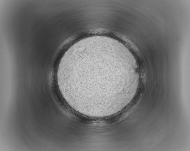 X0000111050591200907231557